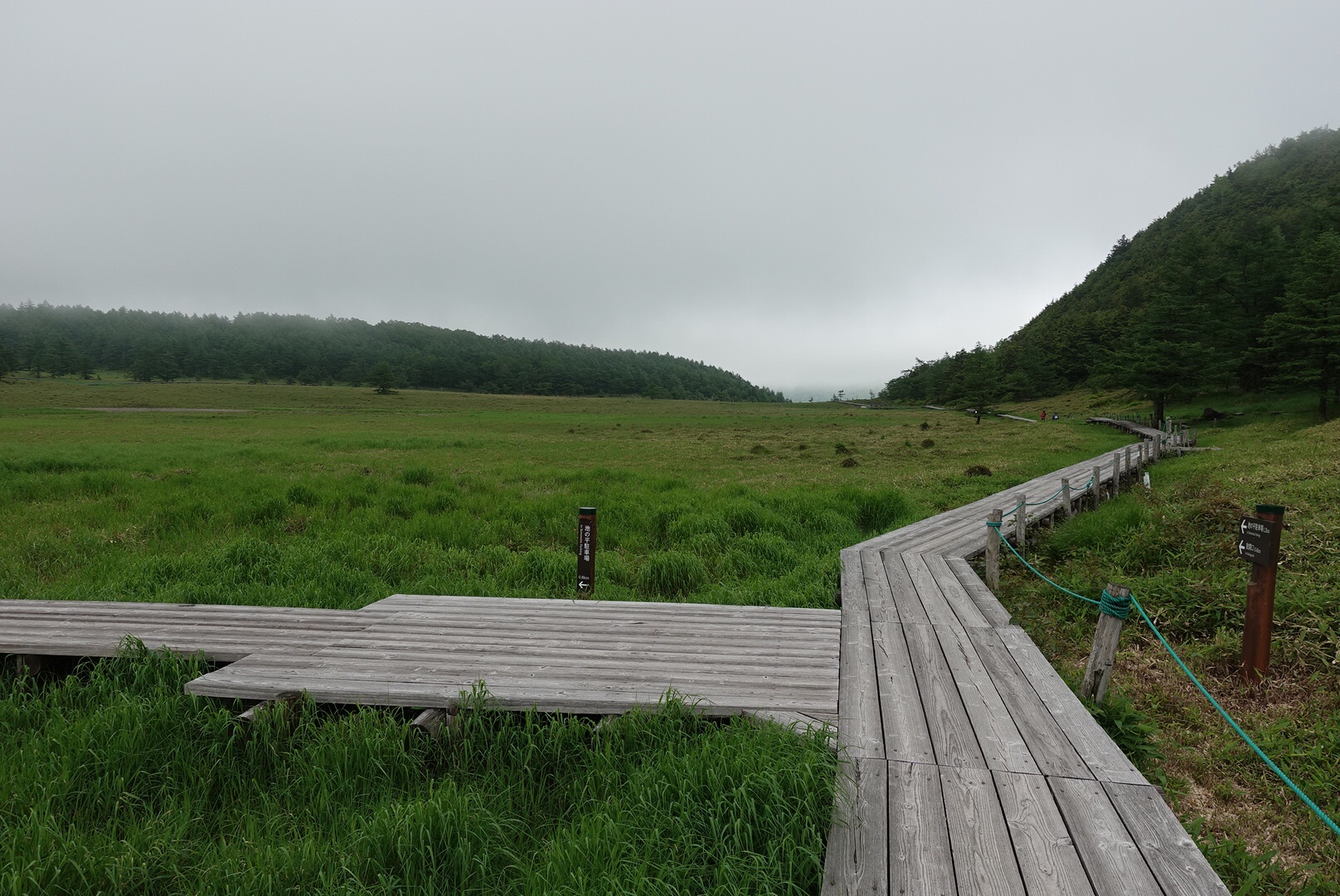 池の平の木道